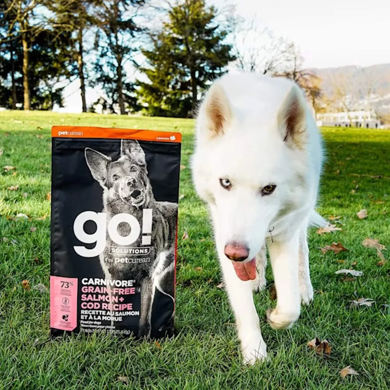Petcurean GO! Carnivore Dry Dog Food