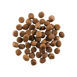 Petcurean GO! Carnivore Dry Dog Food