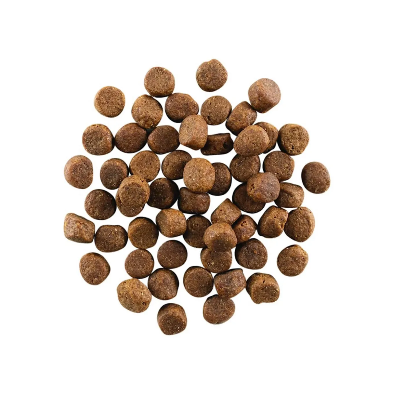 Petcurean GO! Carnivore Dry Dog Food