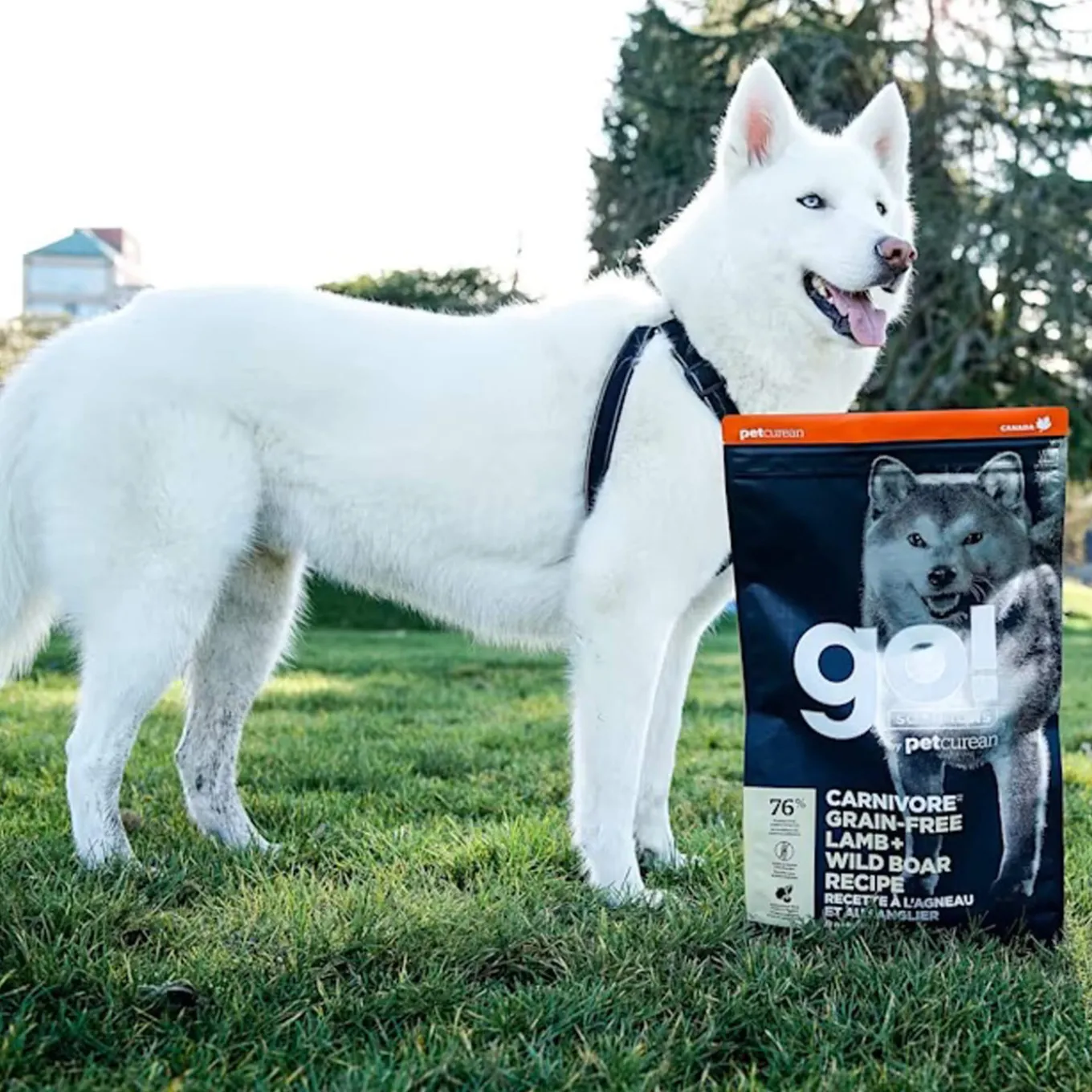 Petcurean GO! Carnivore Dry Dog Food