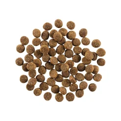 Petcurean GO! Skin and Coat Care Dry Dog Food