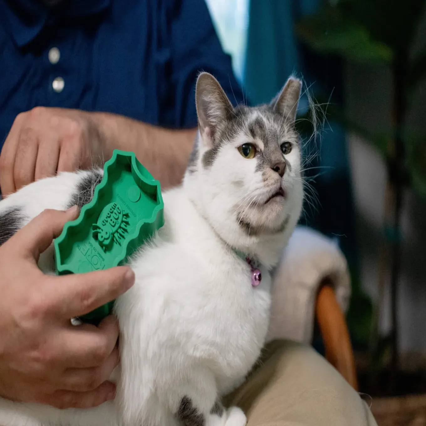 PetKORE GroomBug Rubber Grooming Brush for Cats