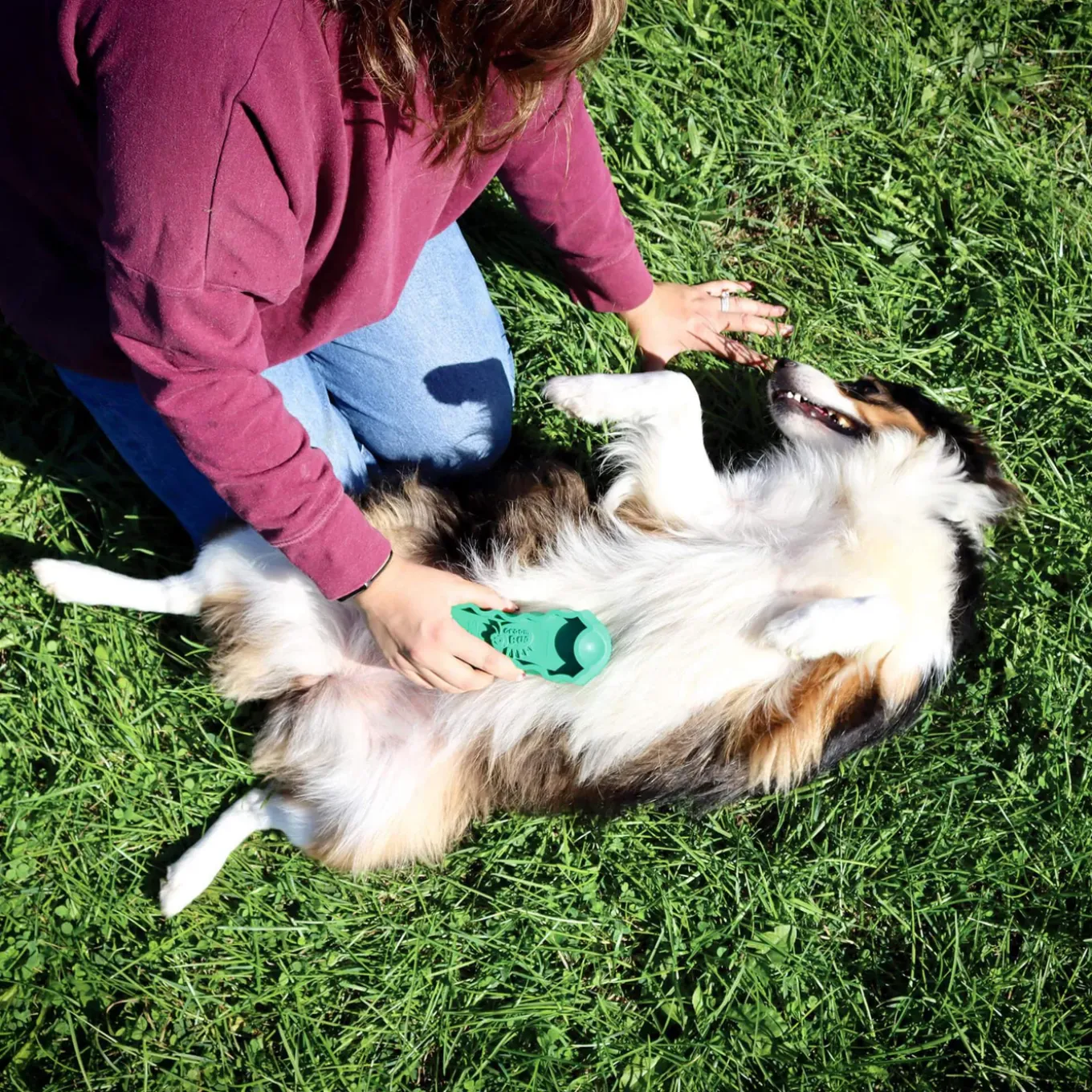PetKore GroomBug Rubber Grooming Brush for Dogs
