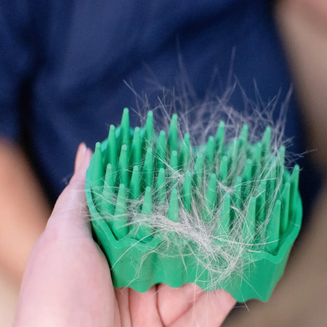PetKore GroomBug Rubber Grooming Brush for Dogs