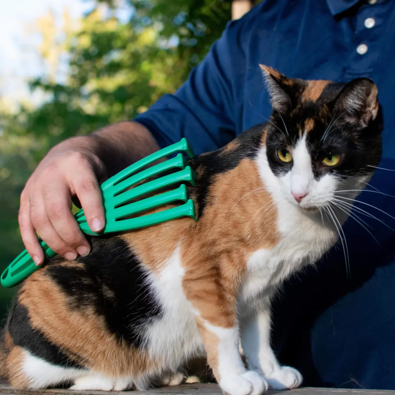 PetKORE GroomRaker Cat Deshedding Tool