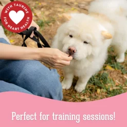 Pet Treatery Grain-Free Biscuits Natural Dog Treats