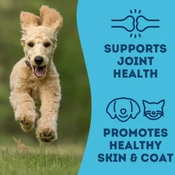 Pet Treatery Premium Dehydrated Dog Treats