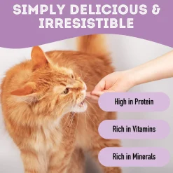 Pet Treatery Premium Dehydrated Dog Treats