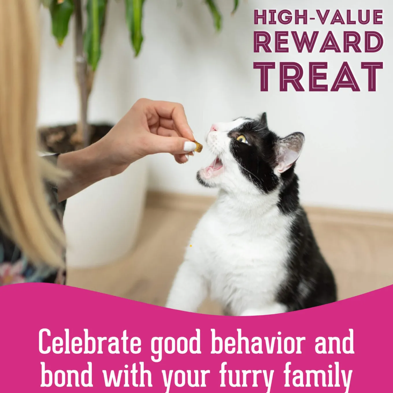 Pet Treatery Premium Freeze Dried Dog Treats