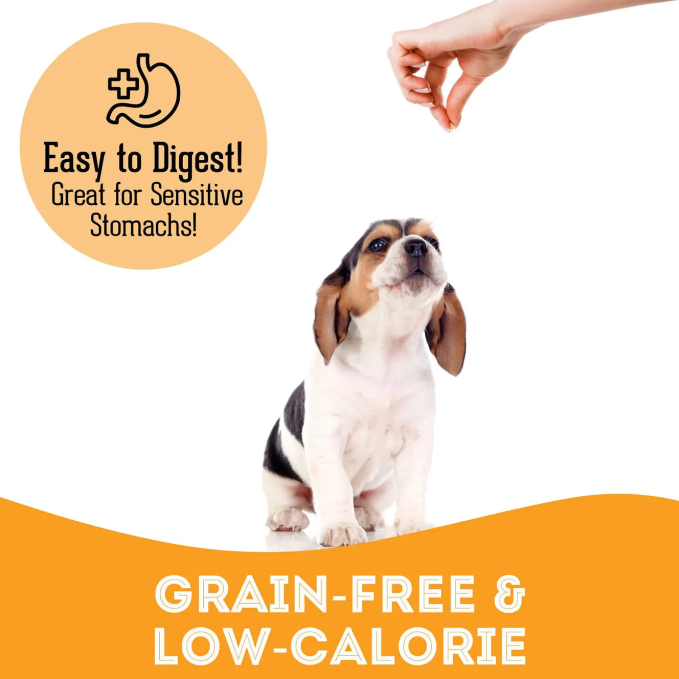 Pet Treatery Premium Soft & Chewy Dog Treats