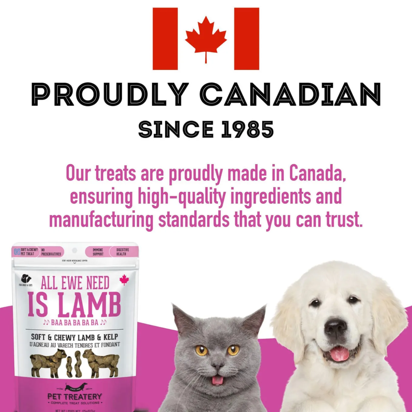 Pet Treatery Premium Soft & Chewy Dog Treats