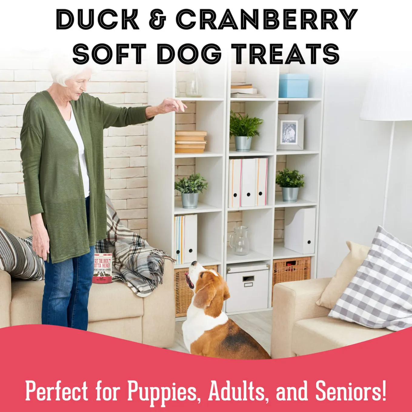 Pet Treatery Premium Soft & Chewy Dog Treats