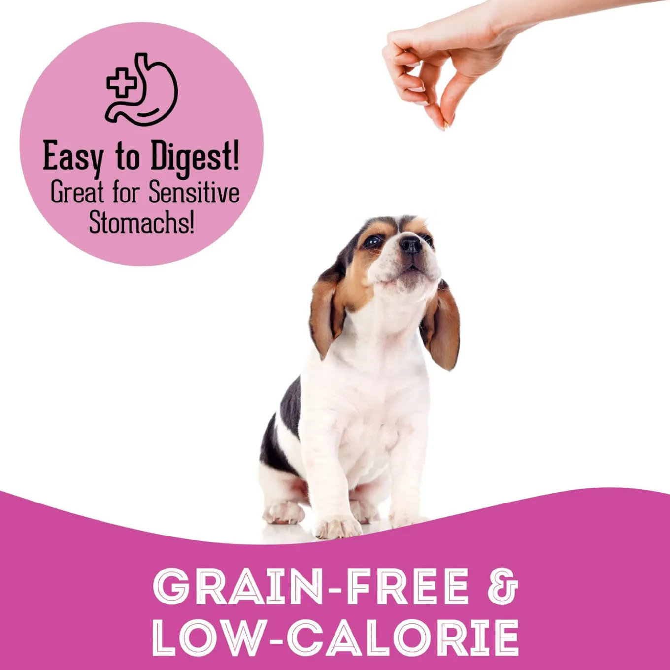 Pet Treatery Premium Soft & Chewy Dog Treats