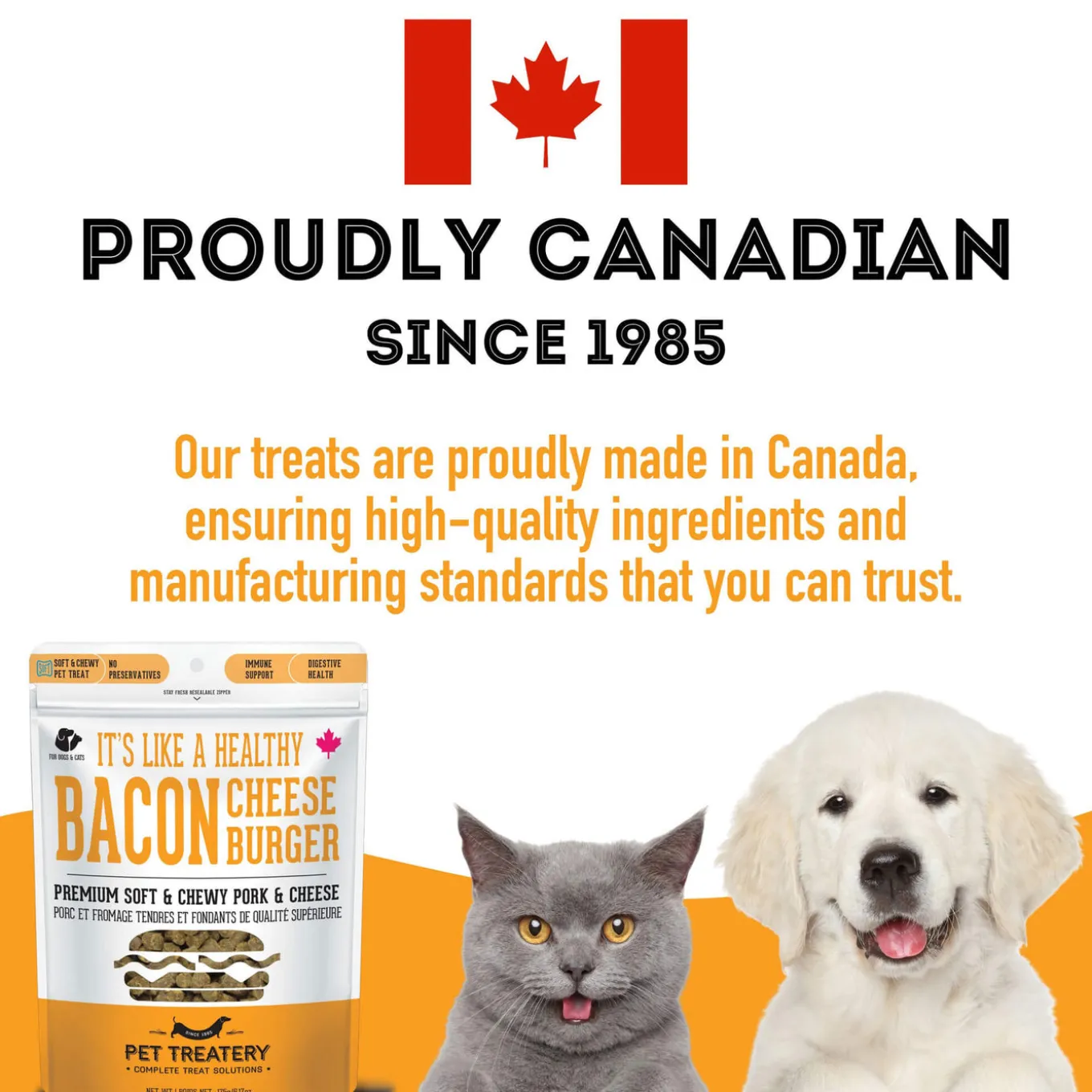 Pet Treatery Premium Soft & Chewy Dog Treats