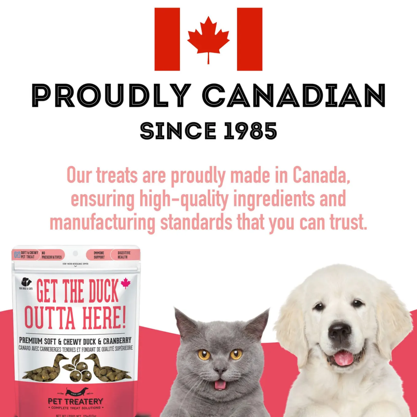 Pet Treatery Premium Soft & Chewy Dog Treats