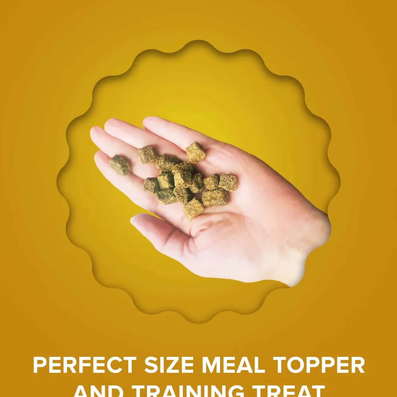 Plato Grain-Free Superfood Toppers with Collagen for Dogs