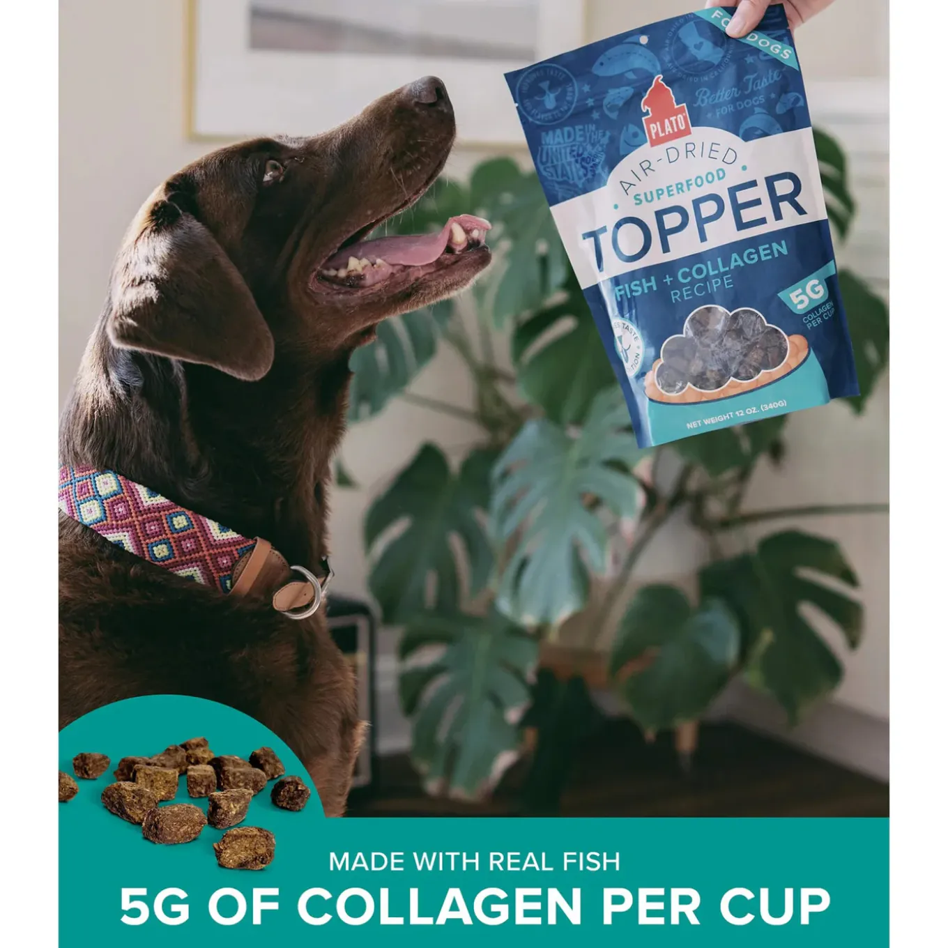 Plato Grain-Free Superfood Toppers with Collagen for Dogs