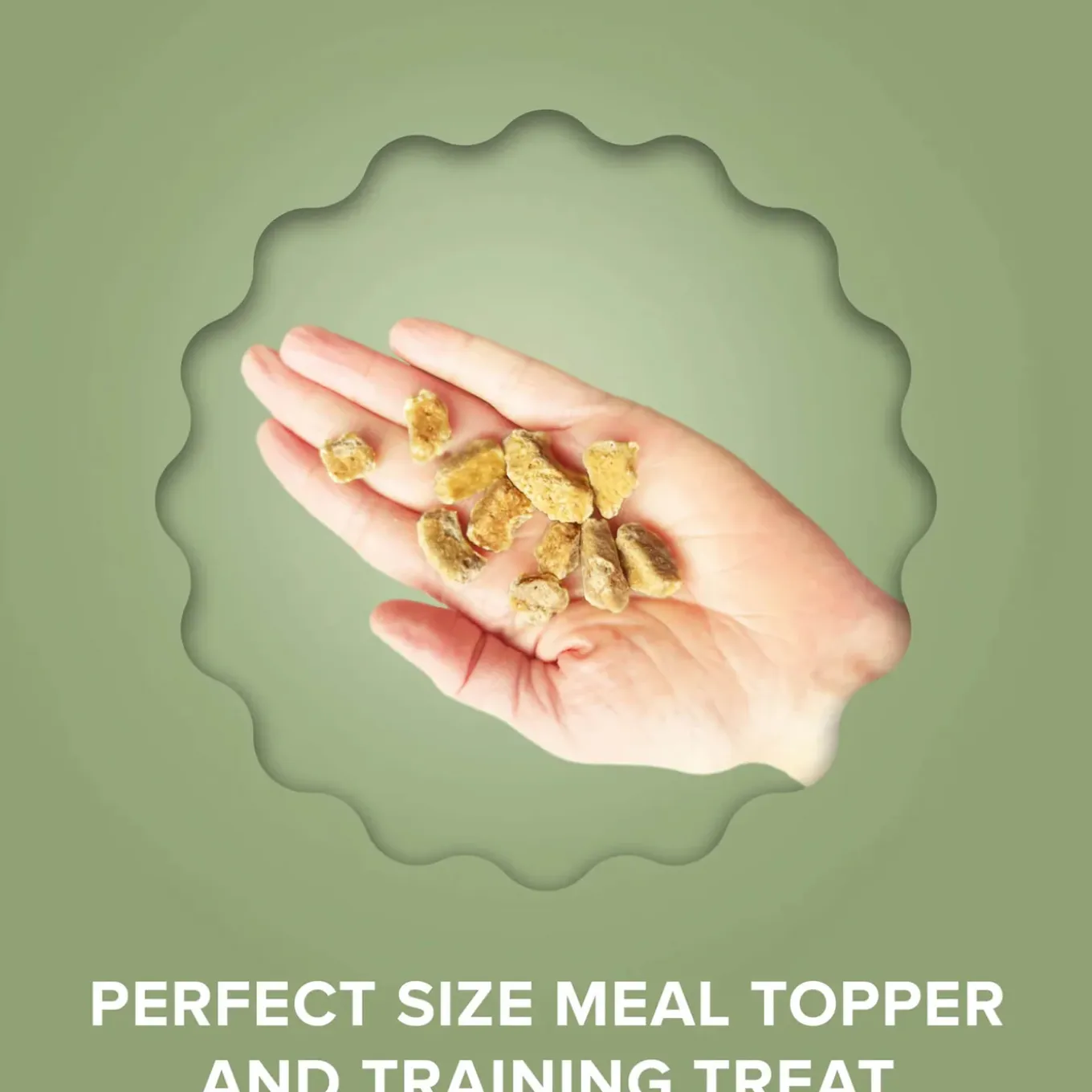 Plato Grain-Free Superfood Toppers with Collagen for Dogs