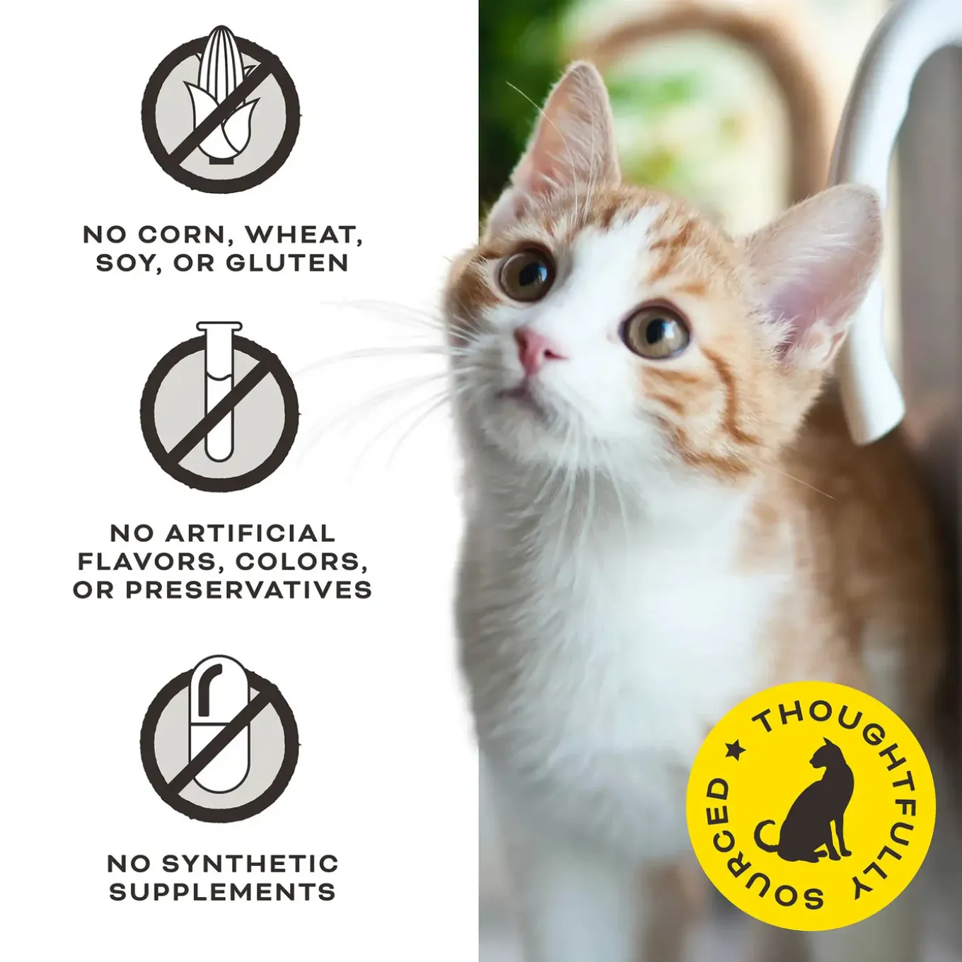 Primal Pet Foods Freeze-Dried Cat Treats