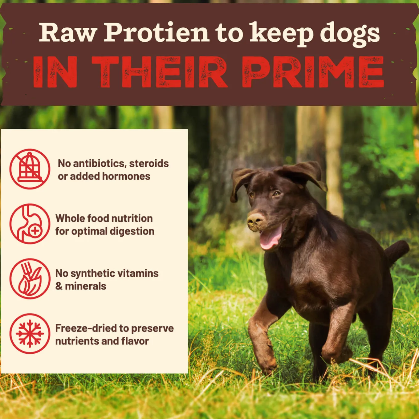 Primal Kibble in the Raw Freeze-Dried Dog Food