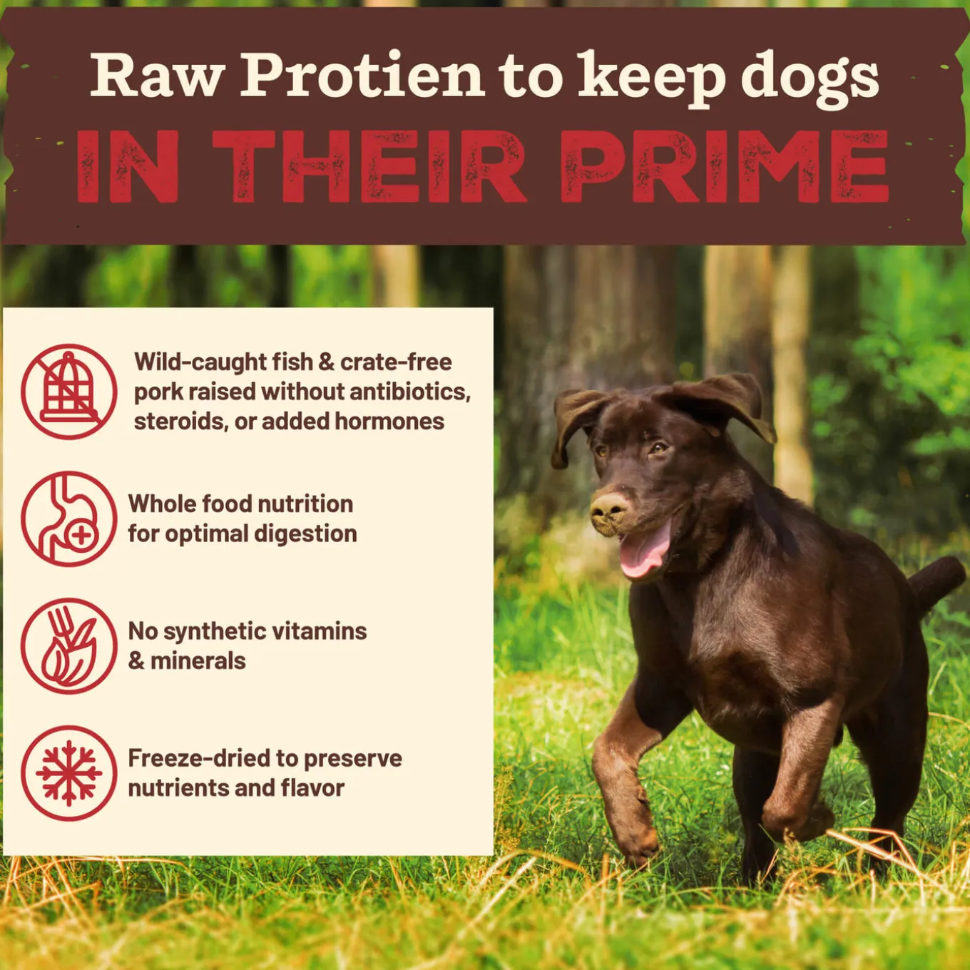 Primal Kibble in the Raw Freeze-Dried Dog Food