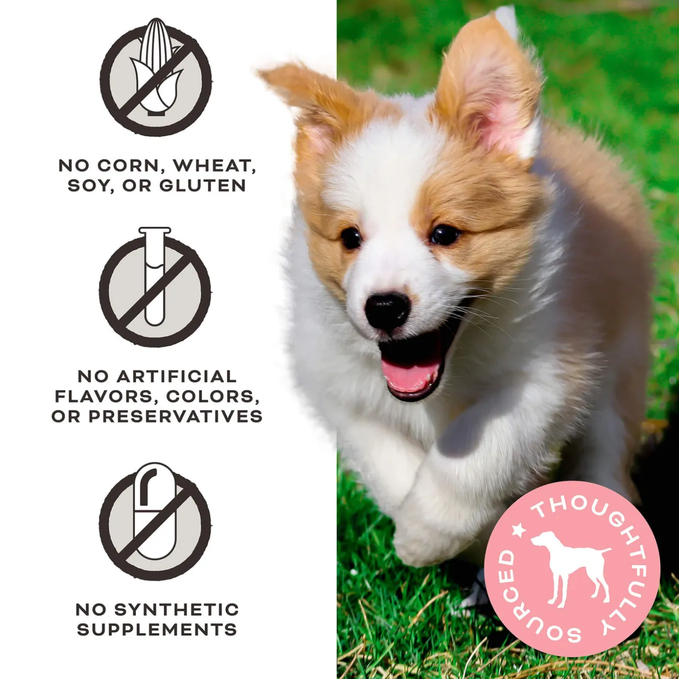 Primal Pet Foods Jerky Treats for Dogs