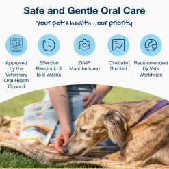 Proden PlaqueOff Dental Care Bones for Dogs