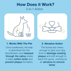 ProDen PlaqueOff Mini Dental Care Bones for Dogs