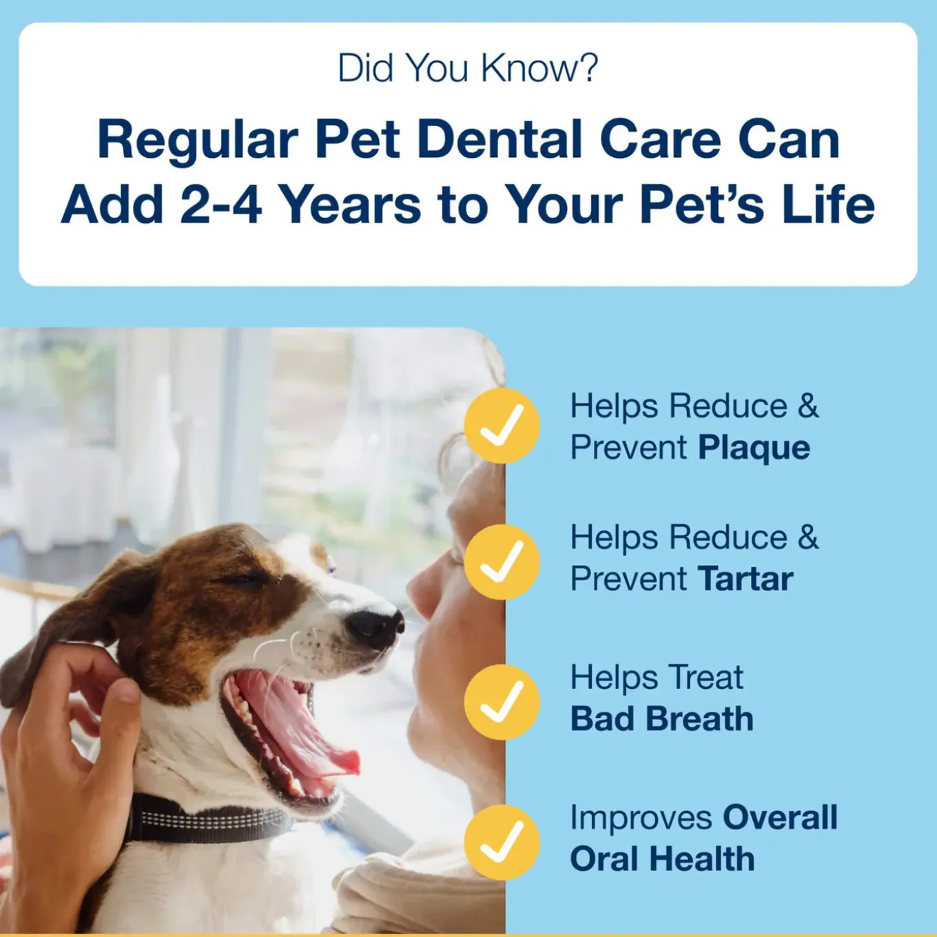 ProDen PlaqueOff Mini Dental Care Bones for Dogs