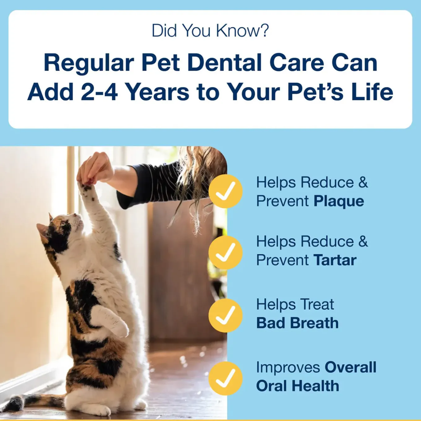 ProDen PlaqueOff Scoopables Dental Treats for Cats