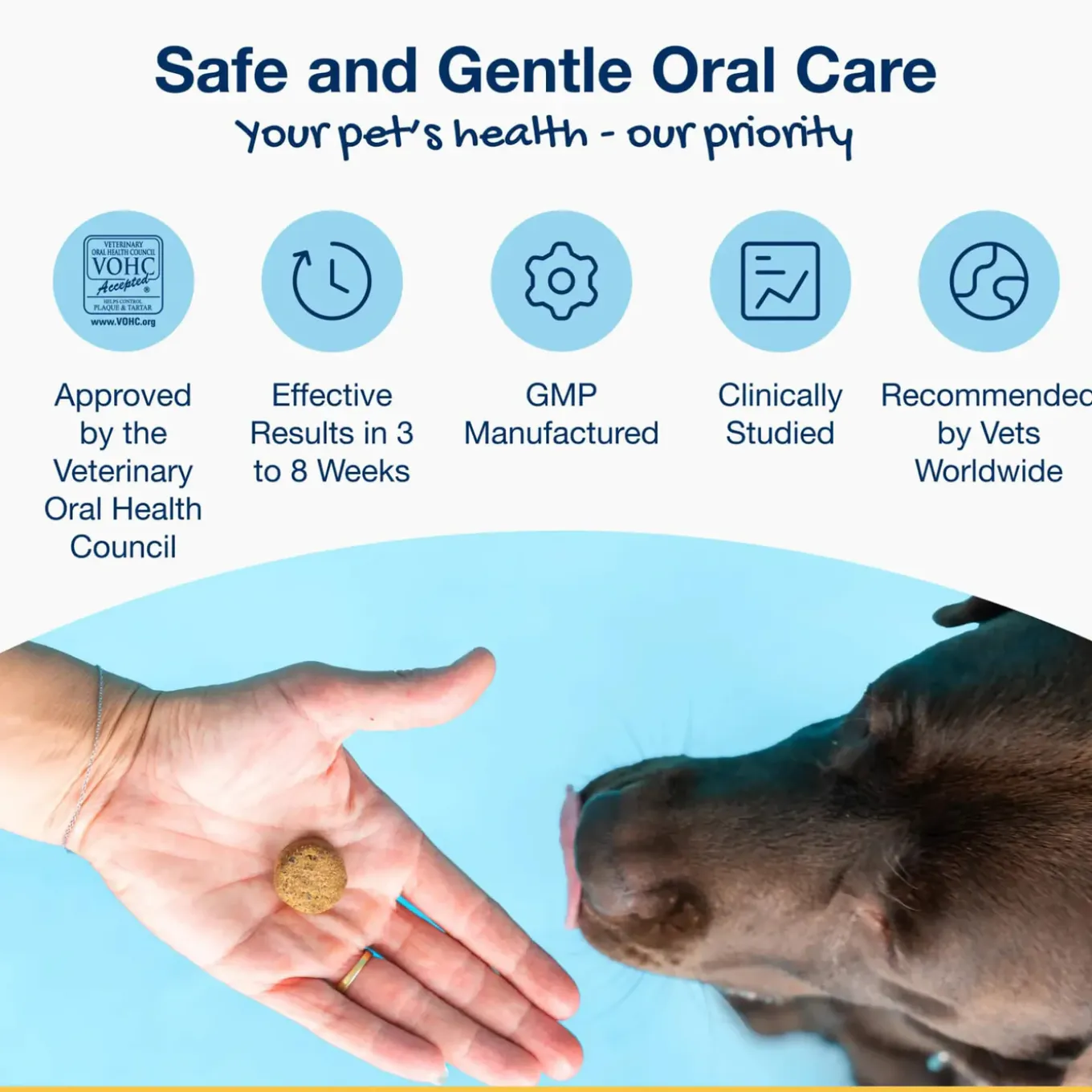 ProDen PlaqueOff Soft Chew Dental Treats for Dogs