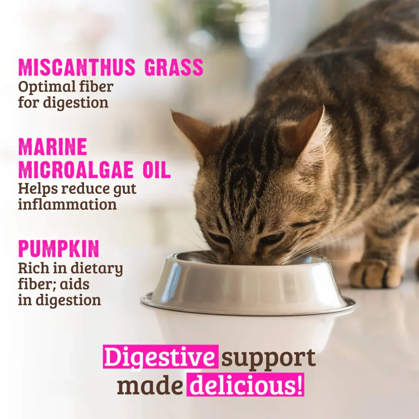 RAWZ Digestive Support Wet Cat Food