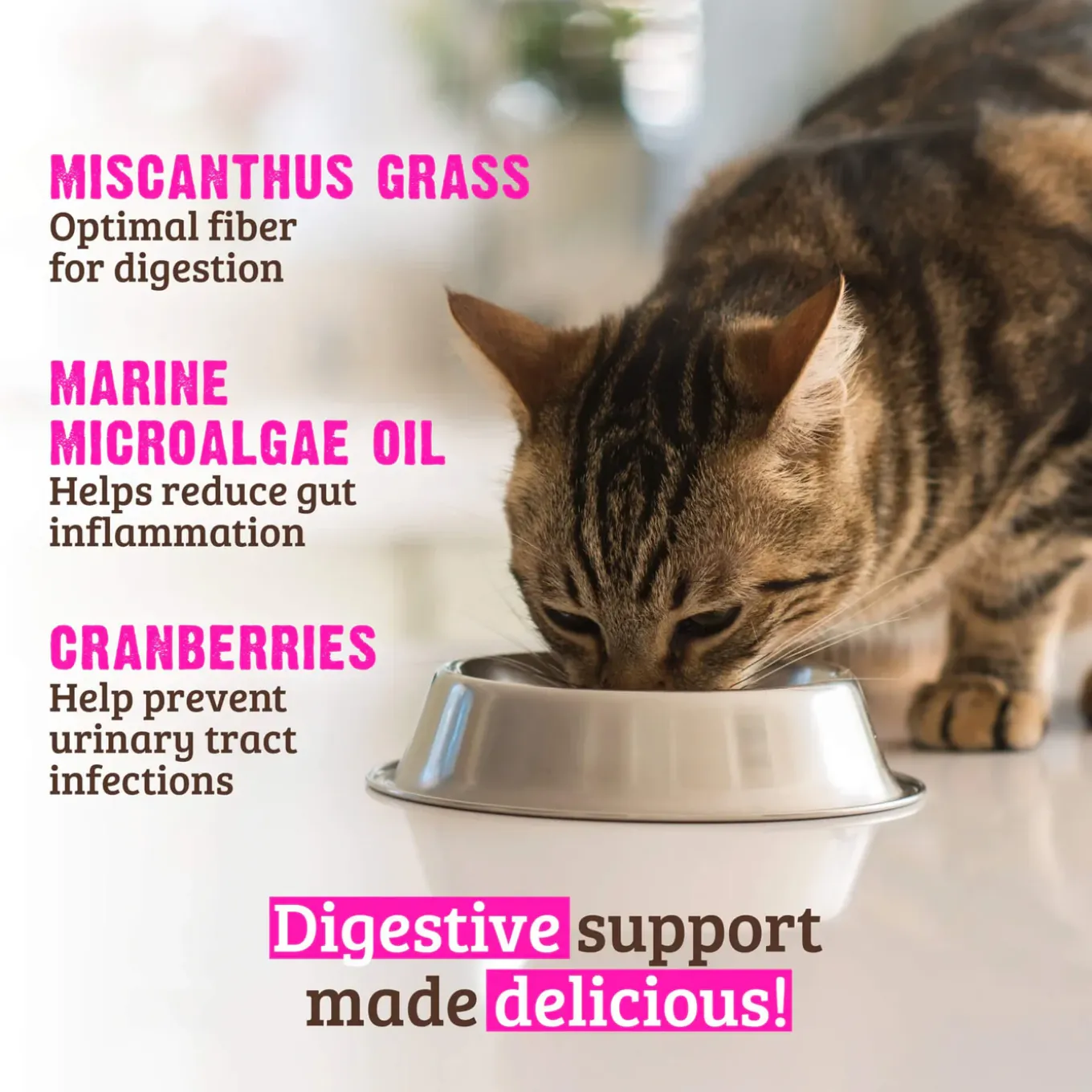 RAWZ Digestive Support Wet Cat Food