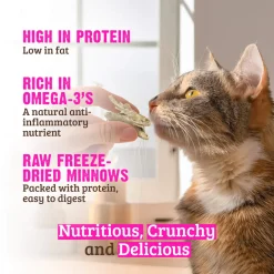 RAWZ Freeze Dried Cat Treats