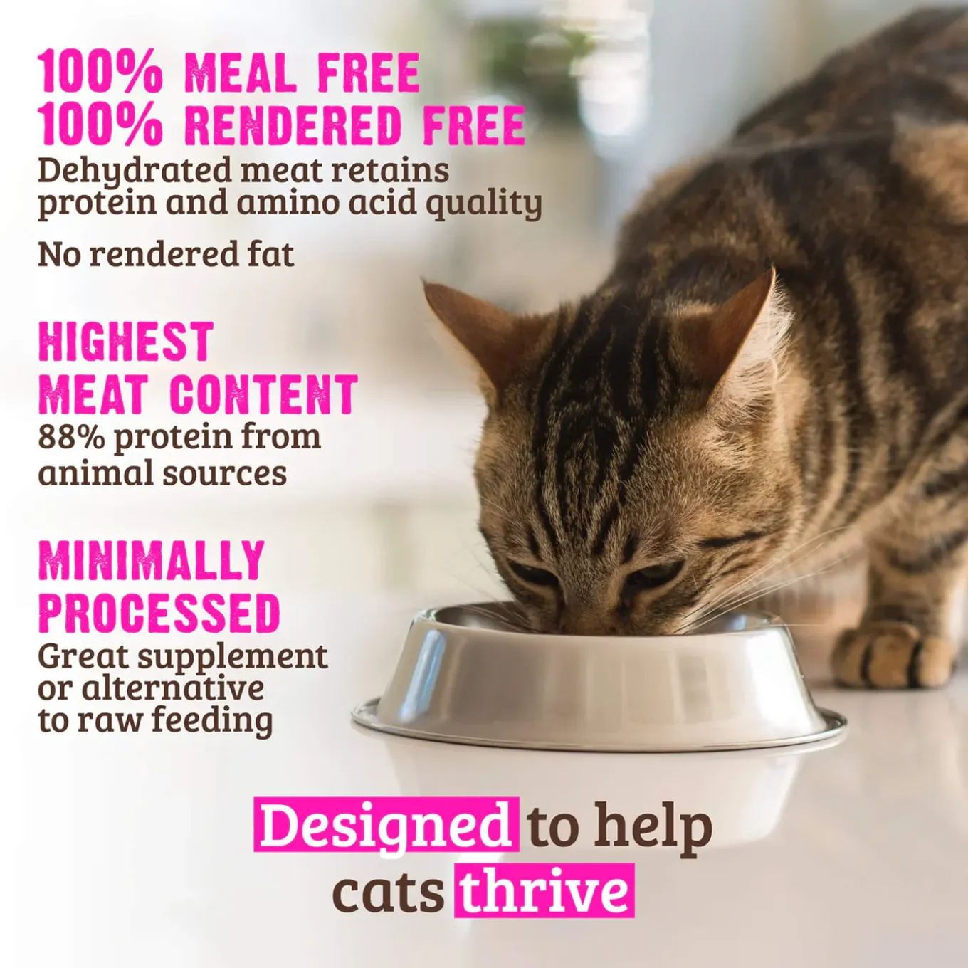 RAWZ Grain Free Natural Dry Cat Food