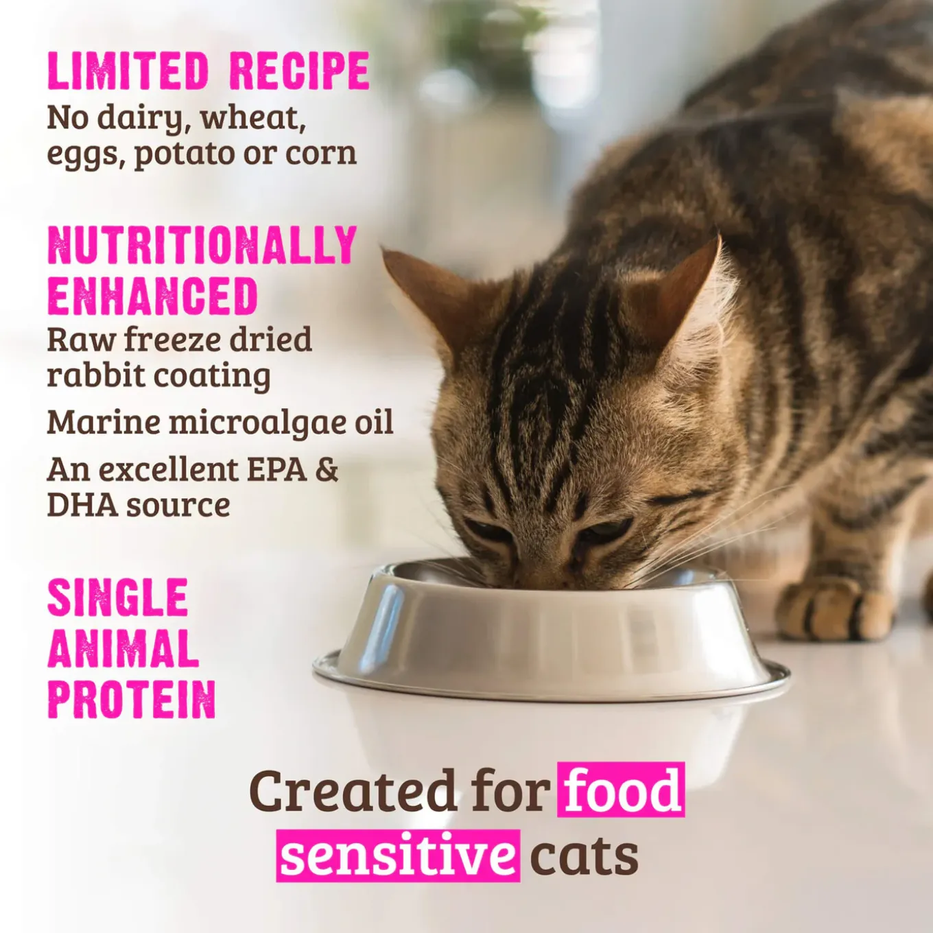 RAWZ Limited Ingredient Rabbit Dry Cat Food