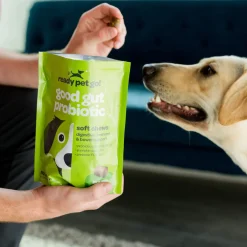 Ready Pet Go! Good Gut Probiotic Supplement for Dogs