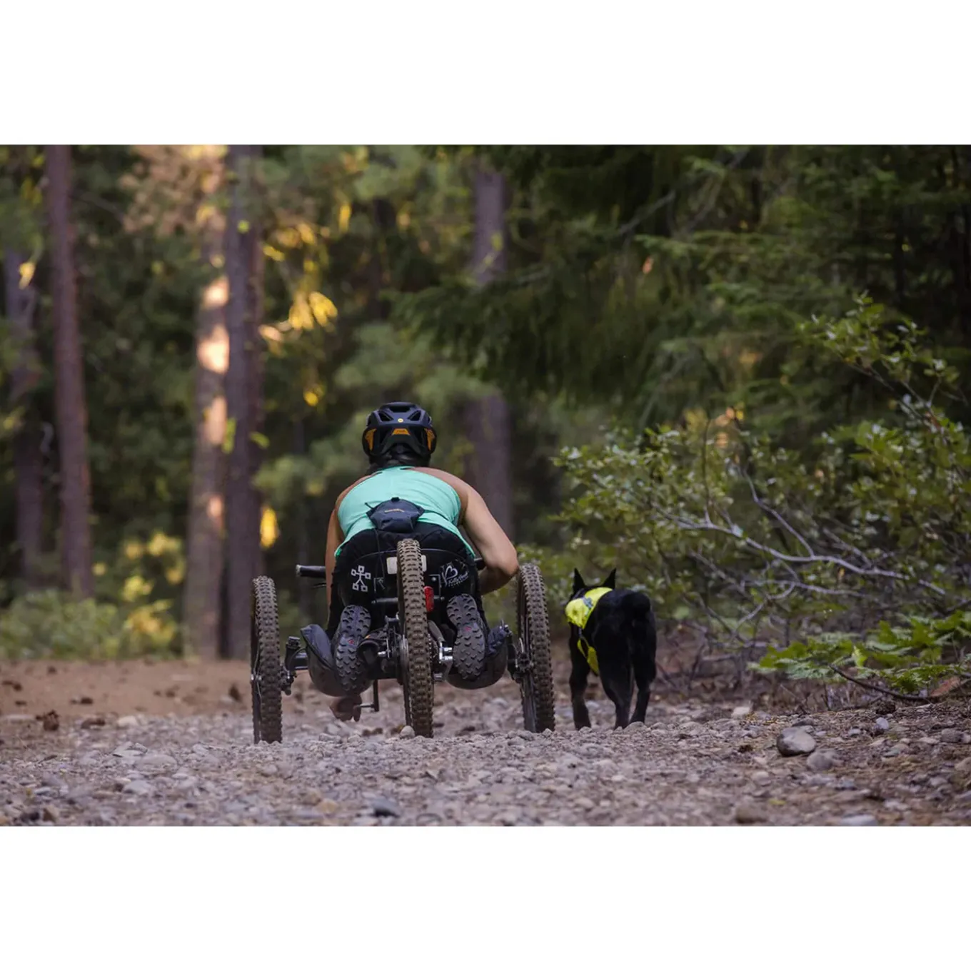 Ruffwear Pack Out Bag for Dogs