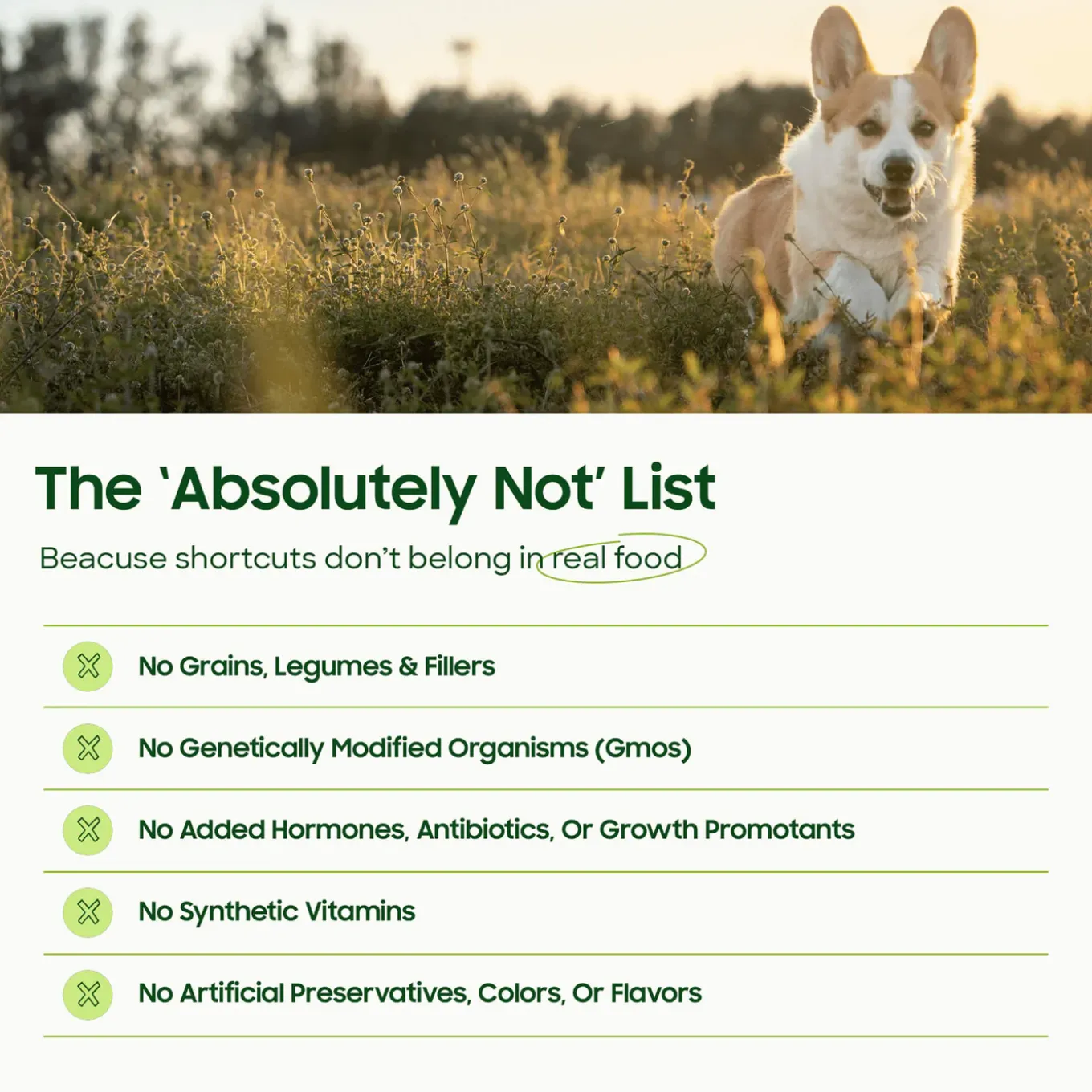 SmallBatch Freeze Dried Liver Treats for Dogs & Cats