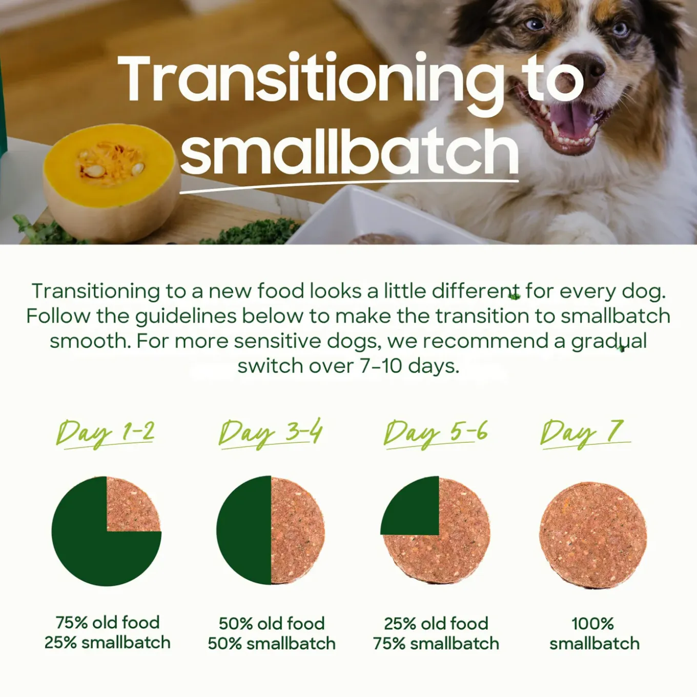 SmallBatch Freeze Dried Meal Bites for Cats