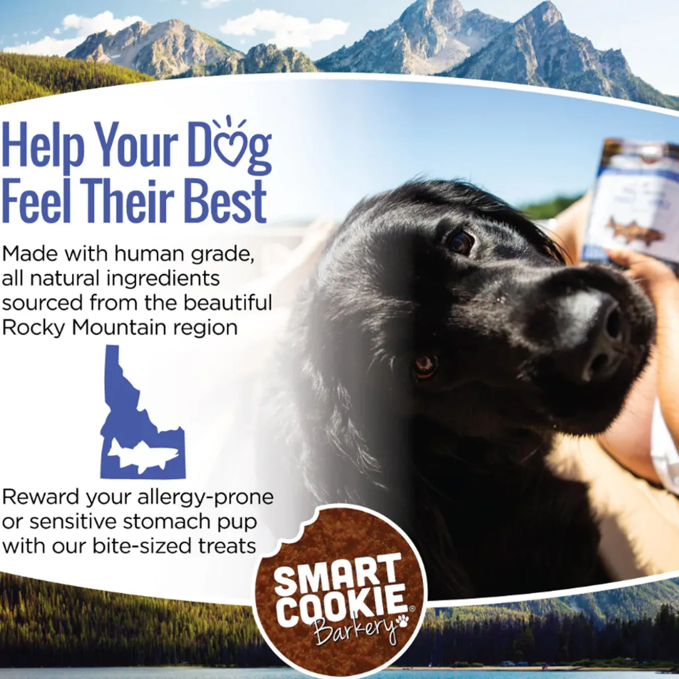 Smart Cookie Grain Free Soft & Chewy Dog Treats