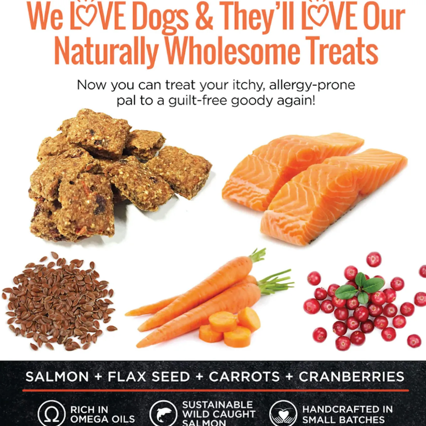 Smart Cookie Skin & Coat Salmon Dog Treats