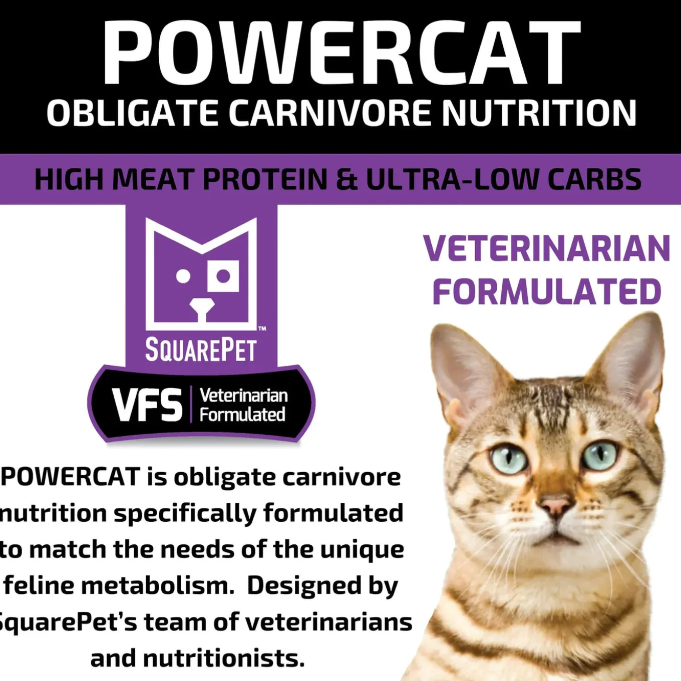 Square Pet VFS Powercat Obligate Carnivore Nutrition Dry Cat Food