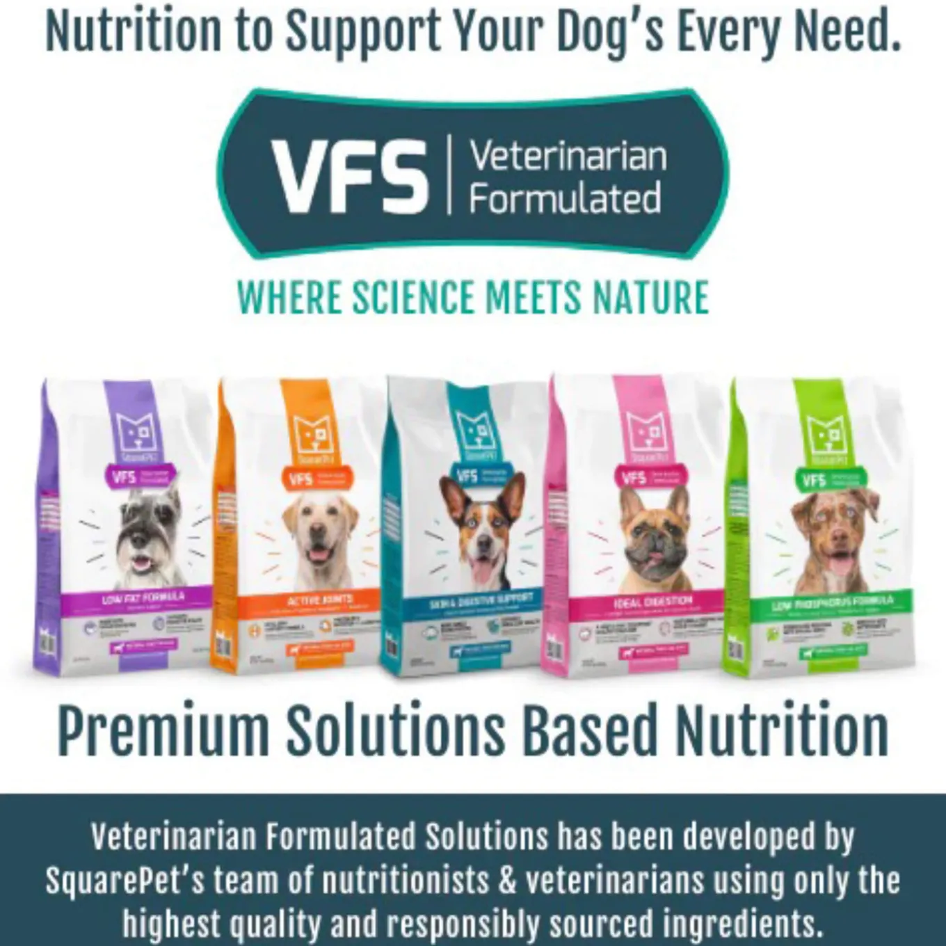 Square Pet VFS Skin & Digestive Support Dry Dog Food