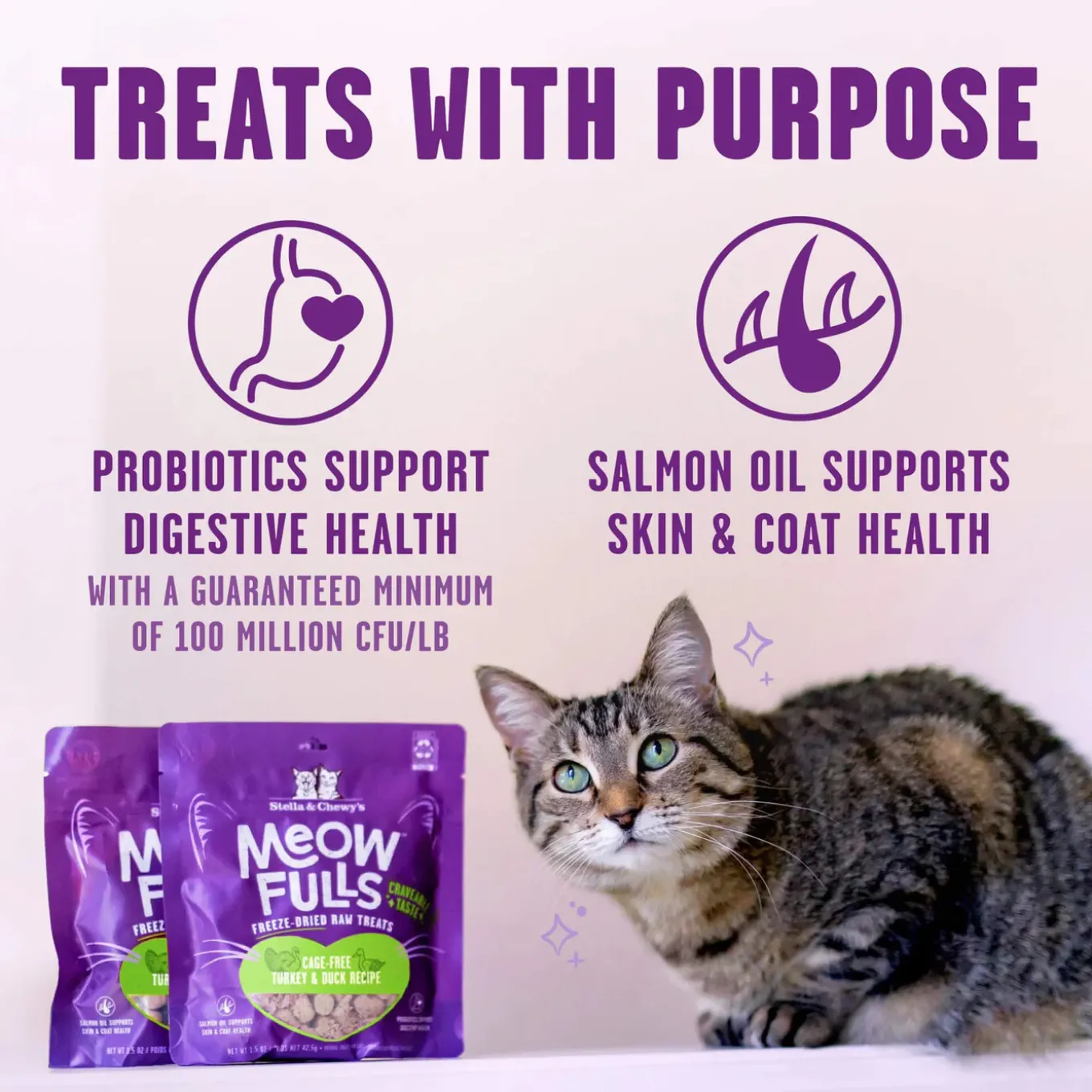 Stella & Chewy Meowfulls Freeze Dried Cat Treats