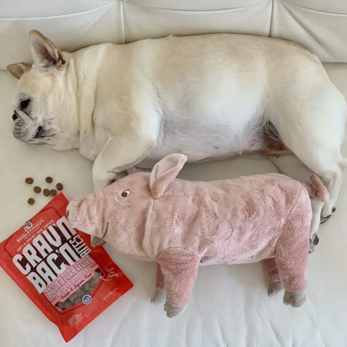 Stella & Chewy's Crav'n Bac'n Bites Dog Treats