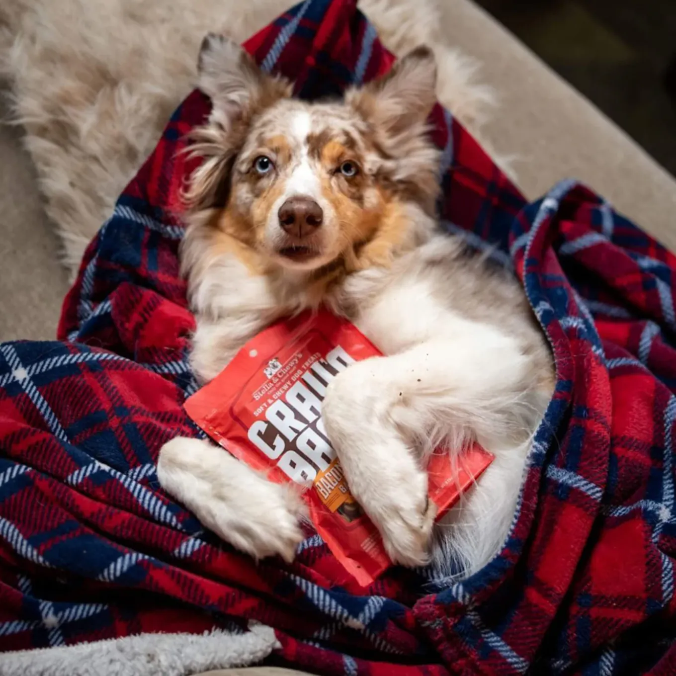 Stella & Chewy's Crav'n Bac'n Bites Dog Treats