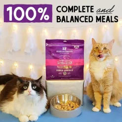 Stella & Chewy's Grain-Free Freeze Dried Cat Food