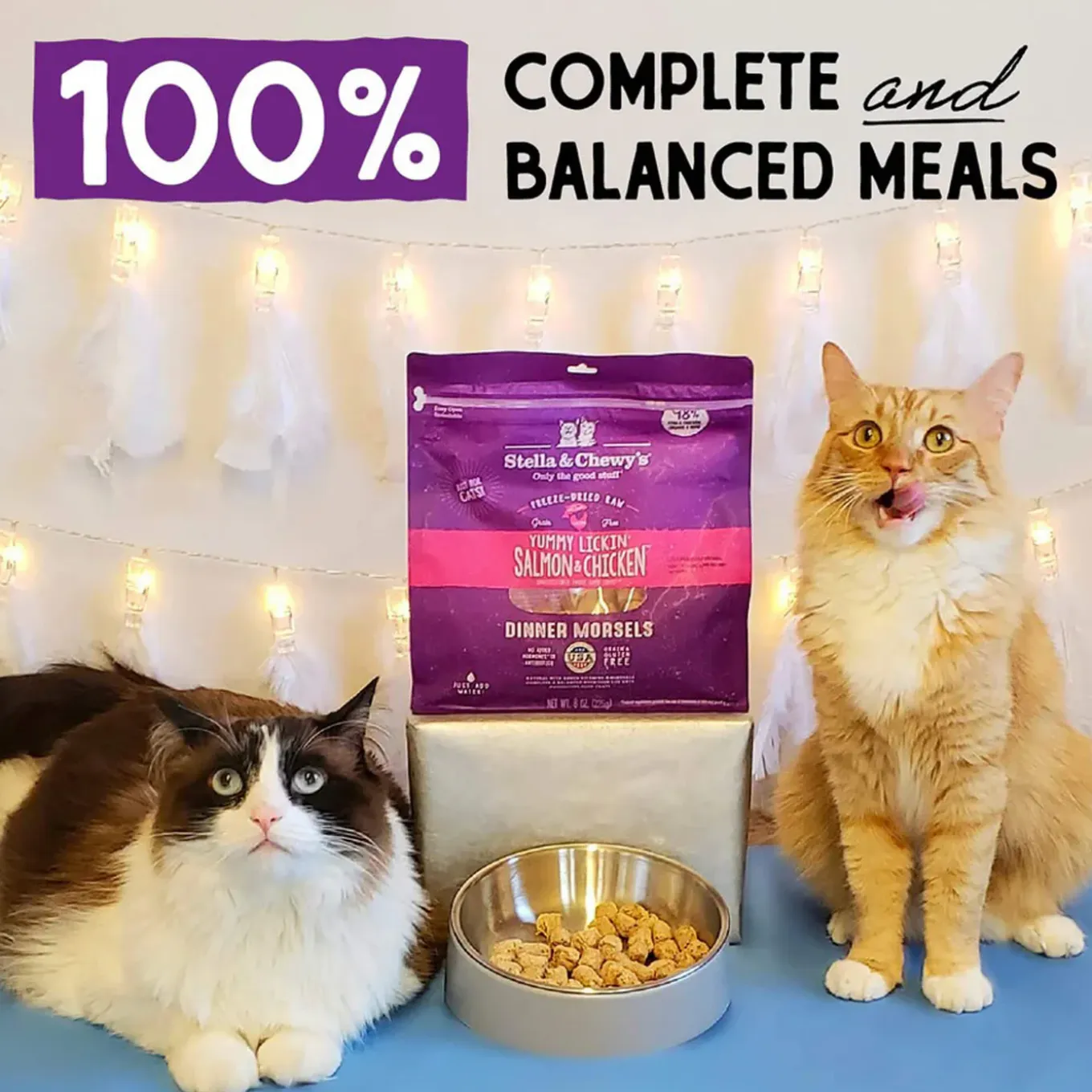Stella & Chewy's Grain-Free Freeze Dried Cat Food