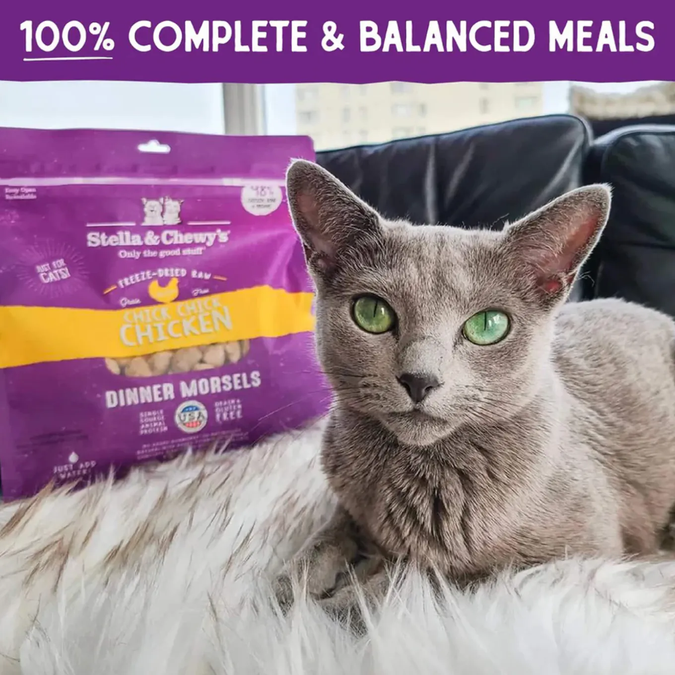 Stella & Chewy's Grain-Free Freeze Dried Cat Food
